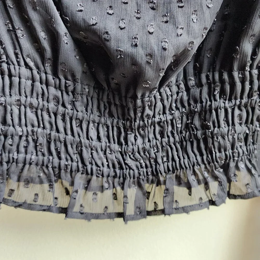 Express Sheer Black Cropped Blouse Size XS